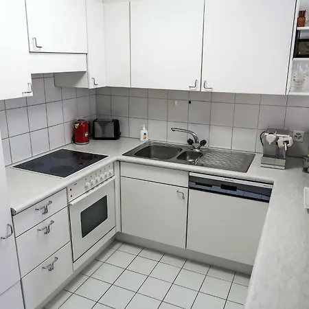 D 031 By Interhome Appartement Disentis